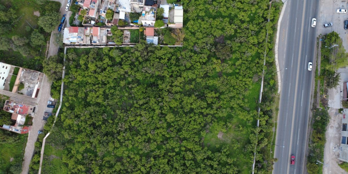Prime Development Opportunity
