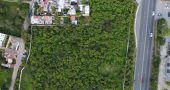 Prime Development Opportunity