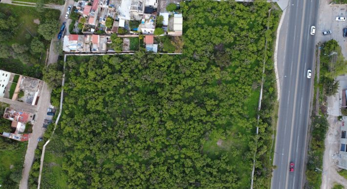 Prime Development Opportunity