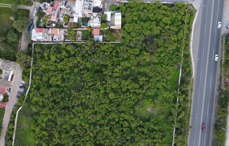 Prime Development Opportunity