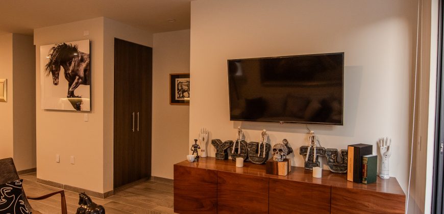 Elegant Furnished Apartment