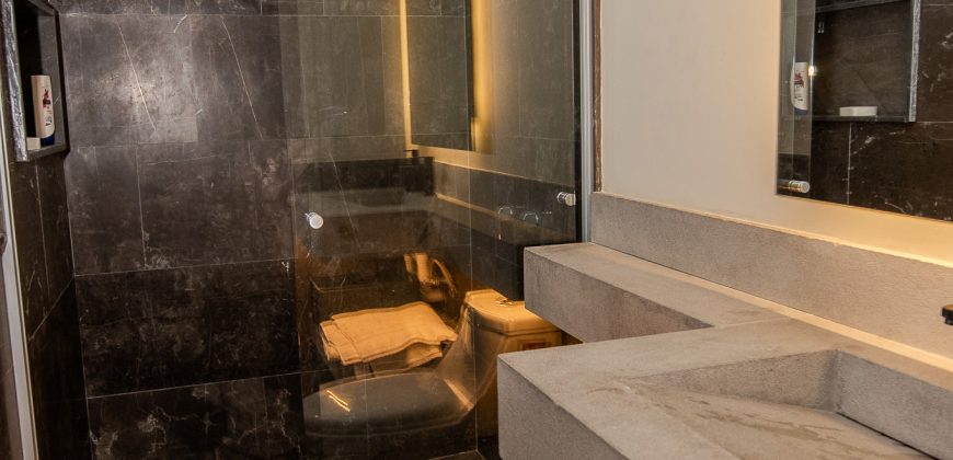 Elegant Furnished Apartment
