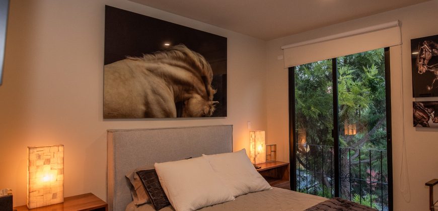 Elegant Furnished Apartment