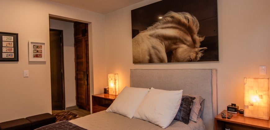 Elegant Furnished Apartment