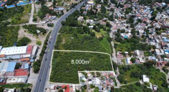 Prime Development Opportunity