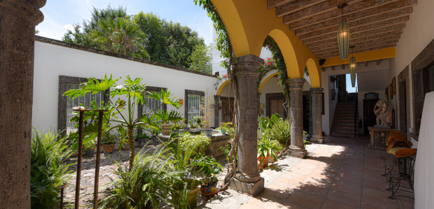 Casa Anza Vineyard