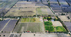Casa Anza Vineyard