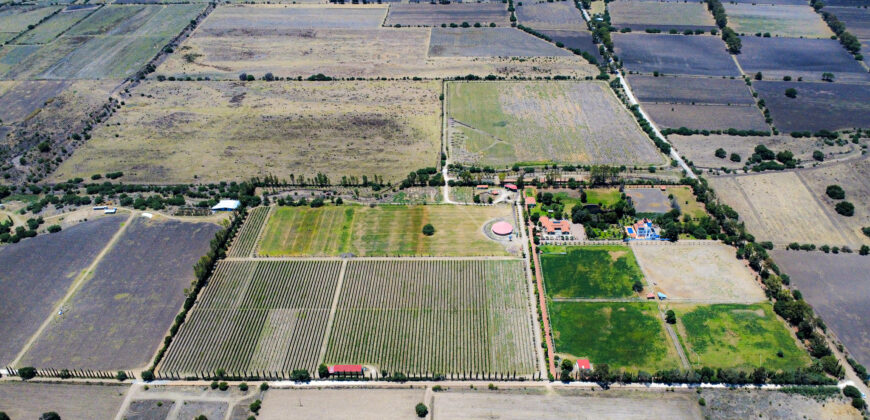 Casa Anza Vineyard