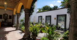 Casa Anza Vineyard