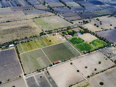 Casa Anza Vineyard