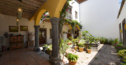 Casa Anza Vineyard
