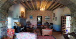 Casa Anza Vineyard