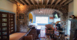 Casa Anza Vineyard