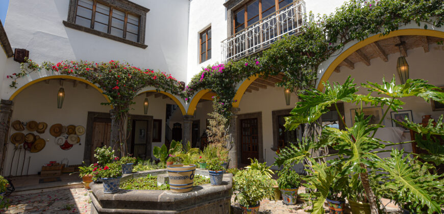 Casa Anza Vineyard