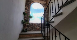 Casa Anza Vineyard