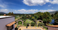 Casa Anza Vineyard