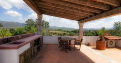 Casa Anza Vineyard