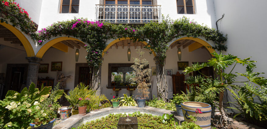 Casa Anza Vineyard